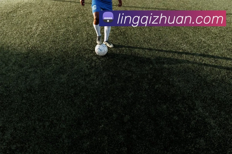 奖项图2